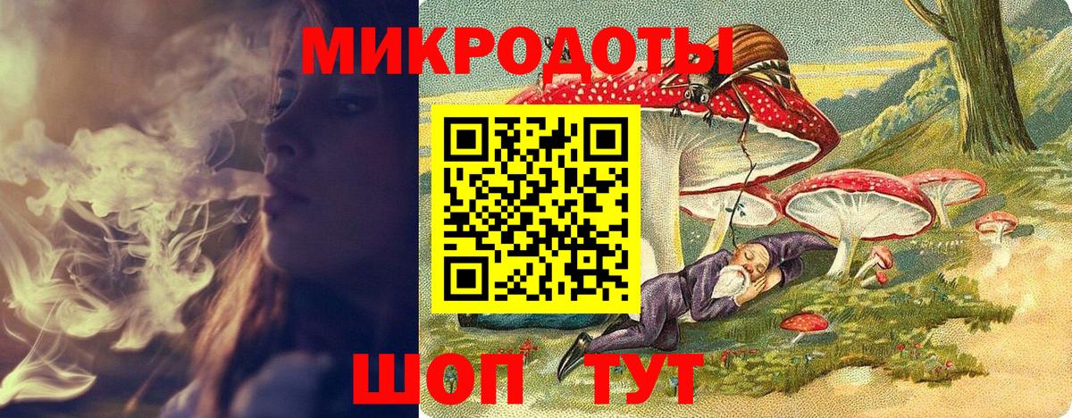 Галлюциногенные грибы Psilocybe Тара