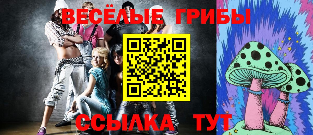Тара  Псилоцибиновые грибы прущие грибы  Вход с VPN 