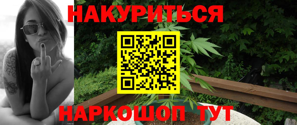 Канабис AK-47  Каннабис семена  Тара  Вход с VPN 